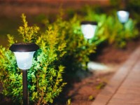 solar street light